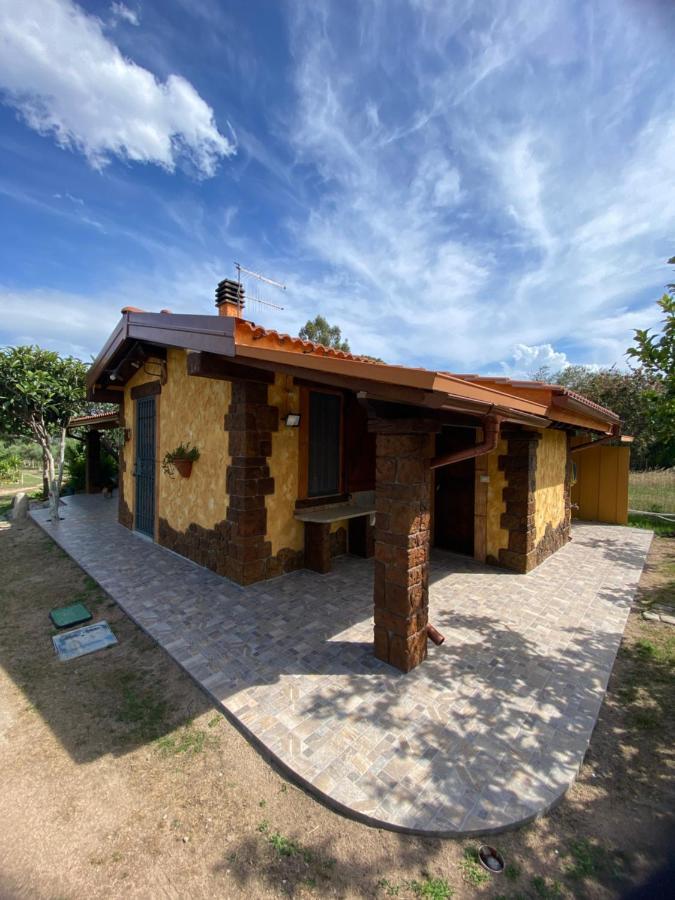 L'uliveto House Holiday home