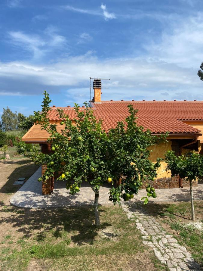 L'uliveto House Holiday home Muravera
