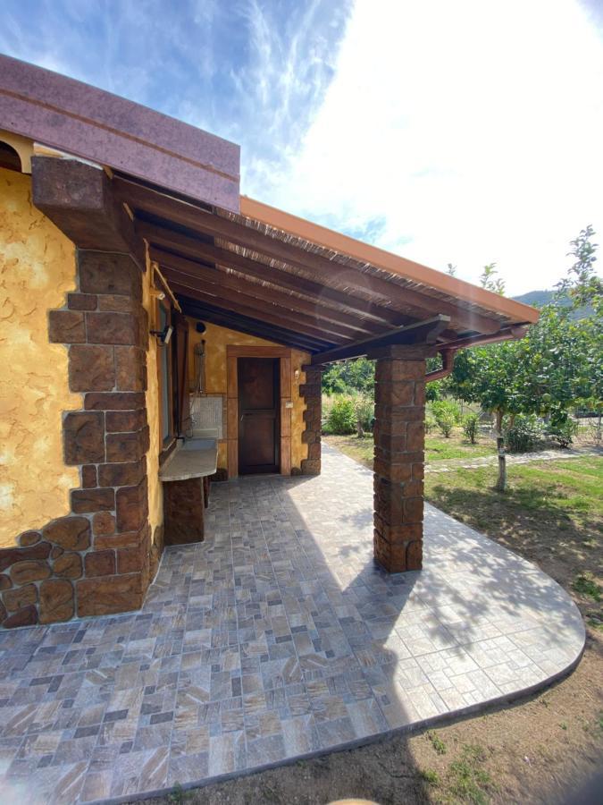 L'uliveto House Holiday home
