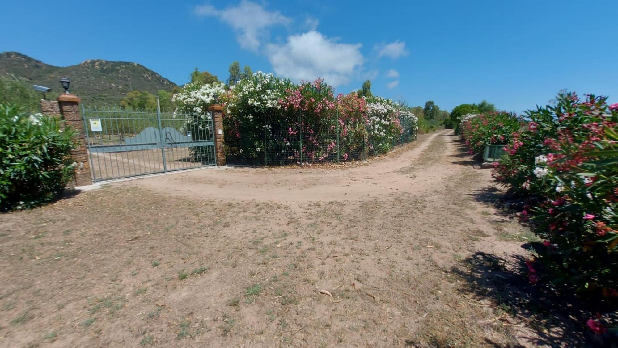 Holiday home L'uliveto House Muravera