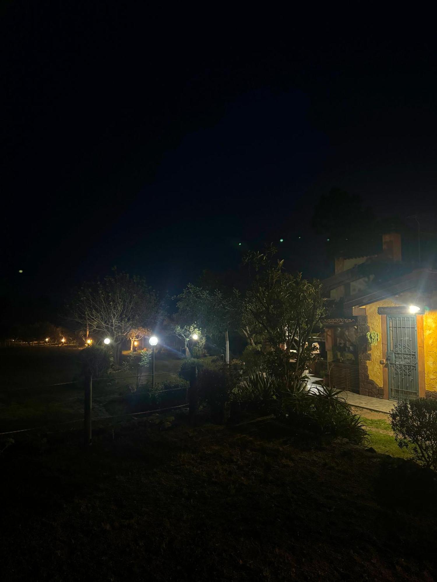 L'uliveto House Holiday home