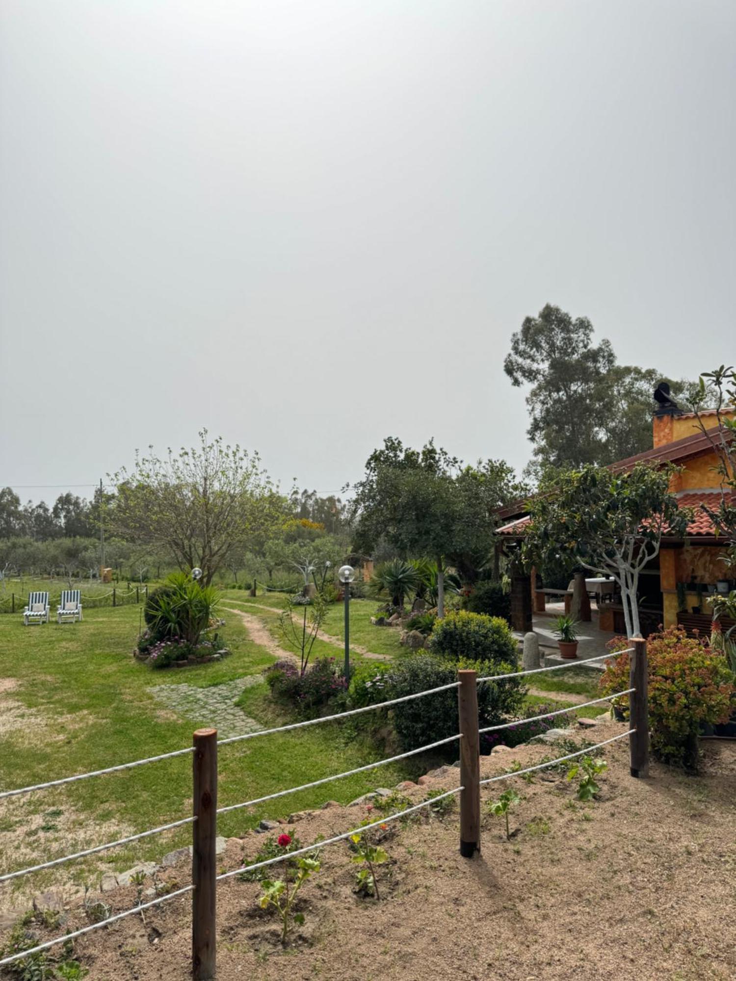 L'uliveto House Holiday home