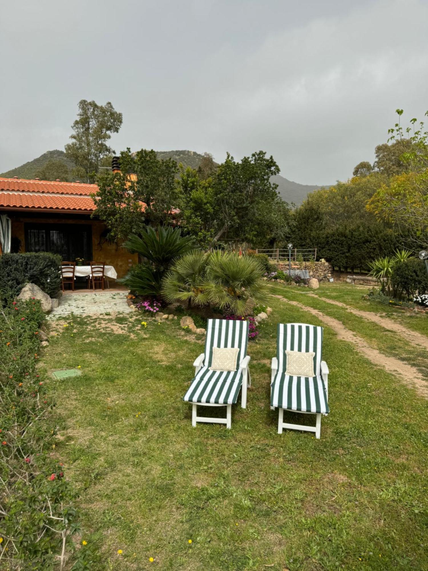 L'uliveto House